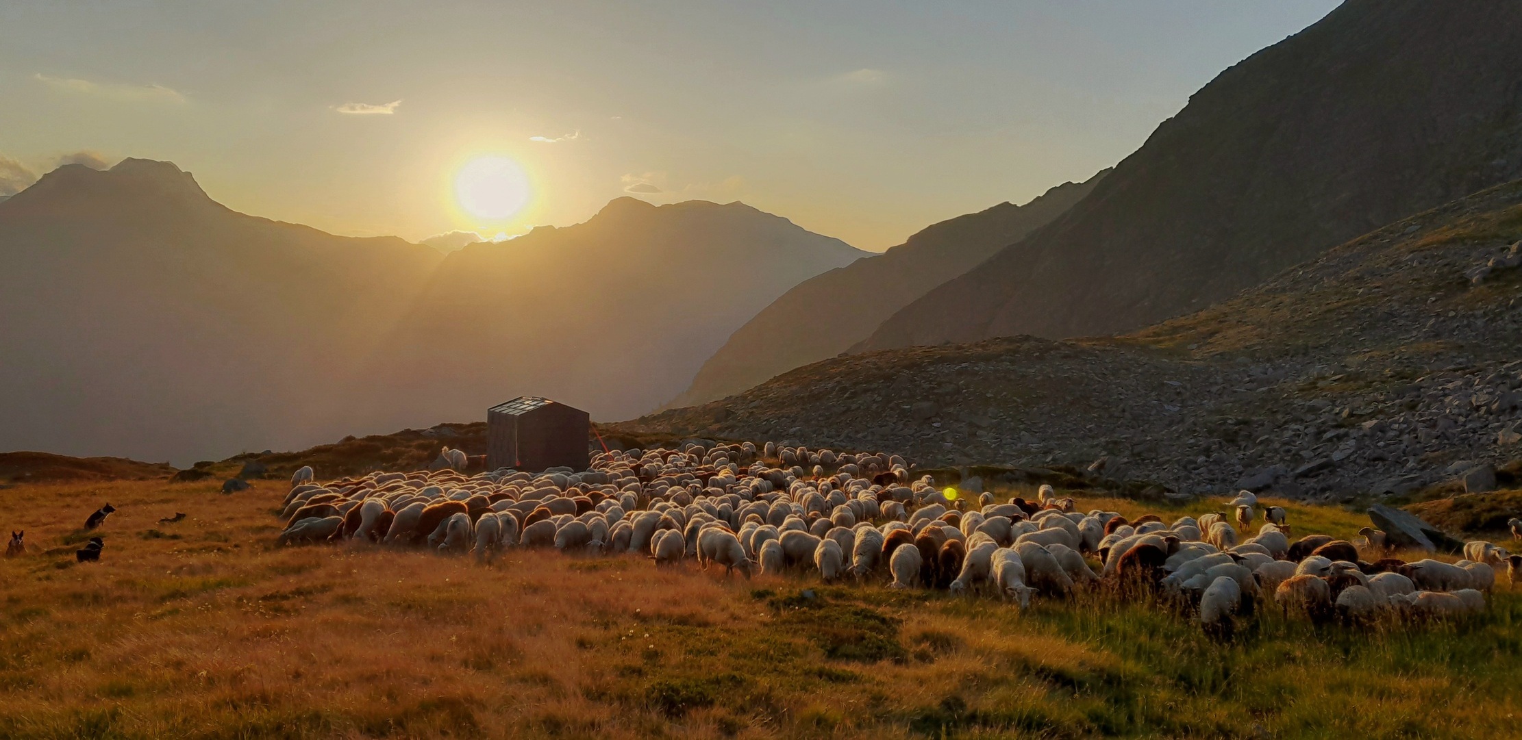 Sommer 2025, Alp d’Arbeola