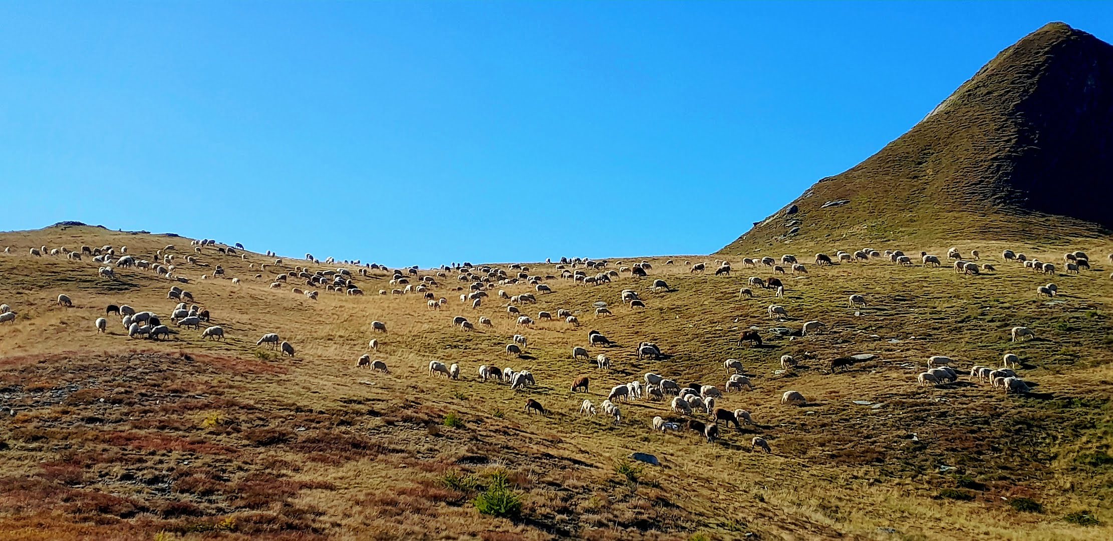 Sommer 2025, Alp d’Arbea